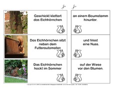 Eichhörnchen-Satzteile-verbinden-einfach 5.pdf